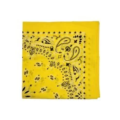 Austin Accent Paisley Print Bandana -Western Fashion Men FAS 1302 23