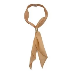 Austin Accent Scarf Tie With Slide 38 Austin Accent Scarf Tie With Slide -Western Fashion Men FAS 1521 TA