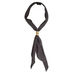 Austin Accent Scarf Tie With Slide 24 Austin Accent Scarf Tie With Slide -Western Fashion Men d2aef2c10b49d74a38b8b2e02838549f
